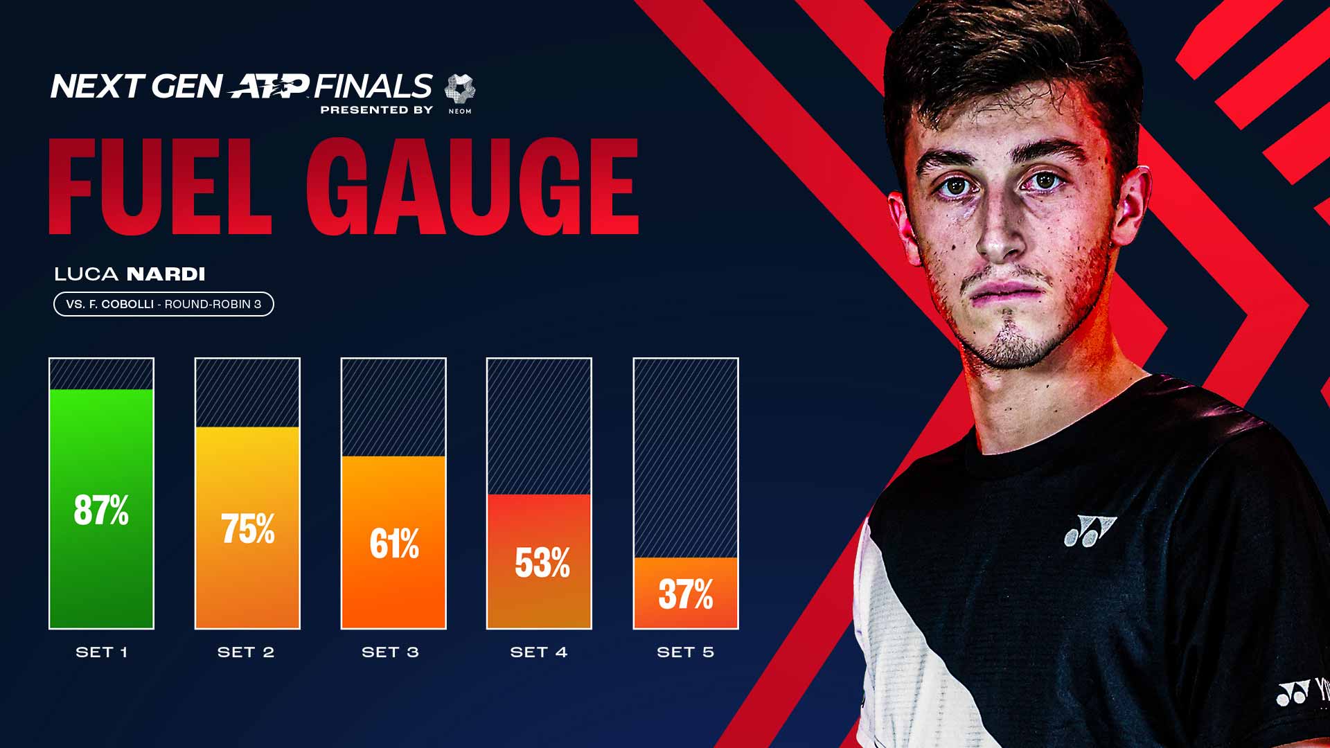 Luca Nardi Fuel Index